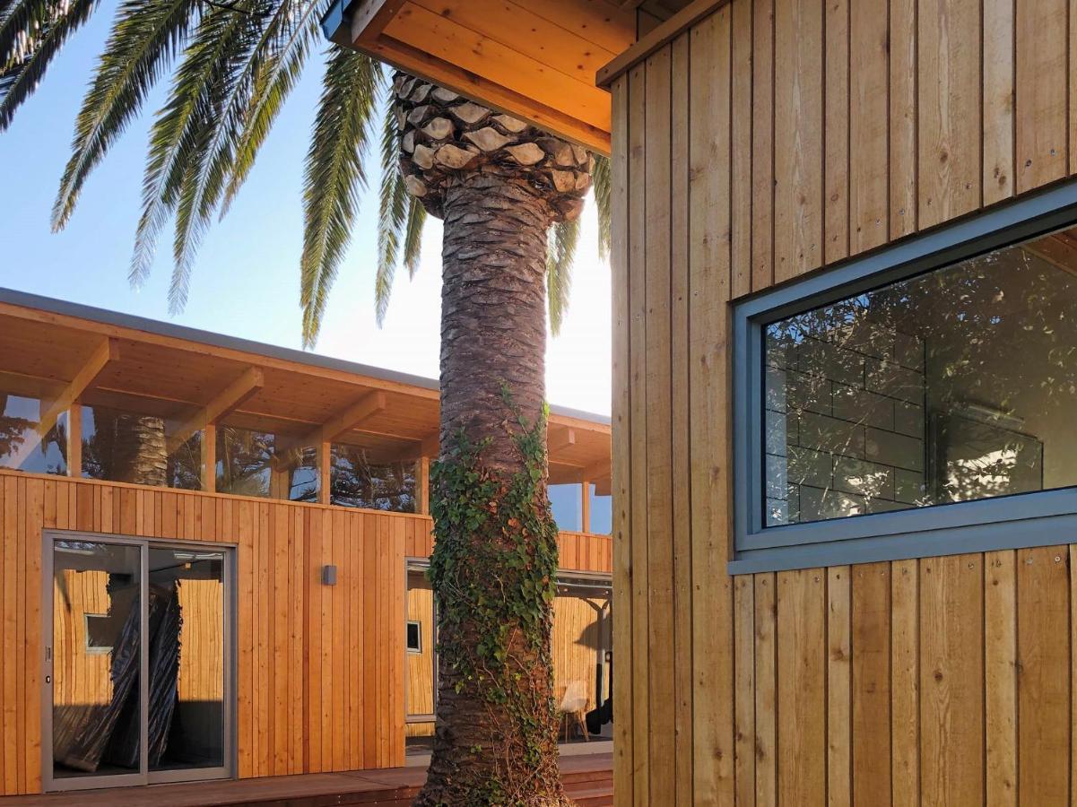 Palm And Pine Cottage Kapsztad Zewnętrze zdjęcie